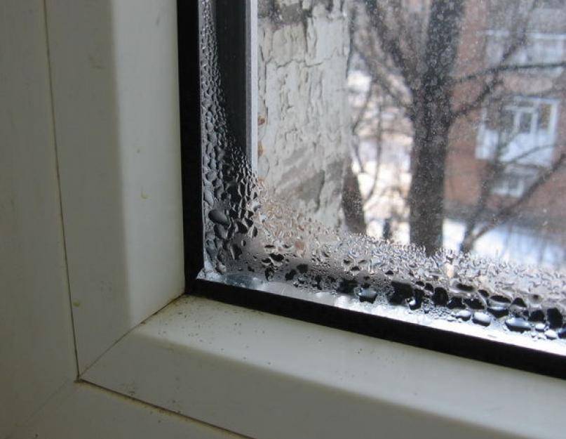 Почему потеют деревянные окна