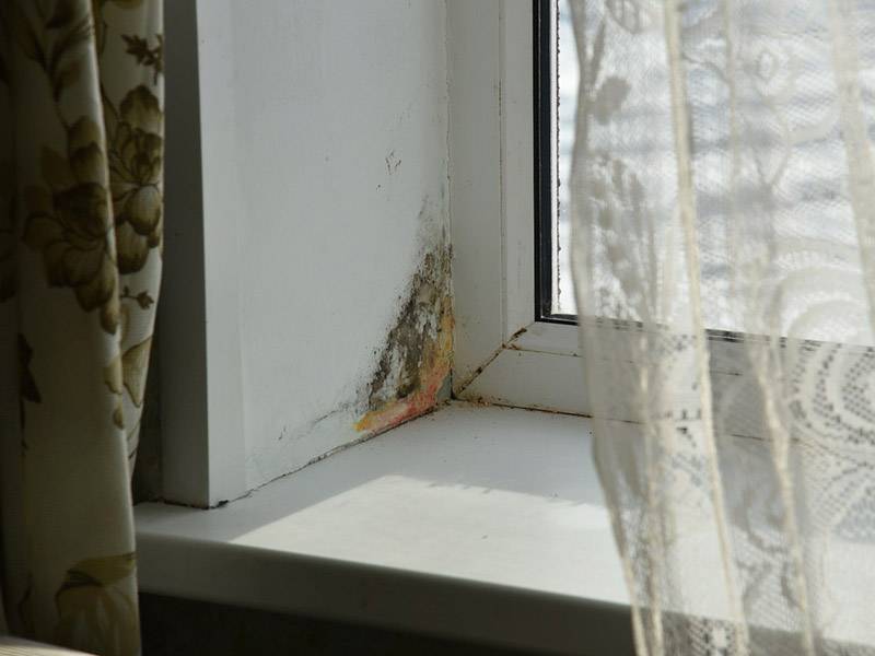 Плесень на пластиковых окнах: причины | средства от грибка на откосах окна