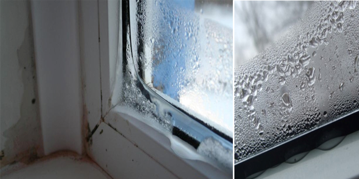 Почему на стекле окна образуется лед. Плесень на пластиковых окнах. Конденсат на пластиковых окнах. Конденсирует пластиковое окно. Причины конденсата на пластиковых окнах.