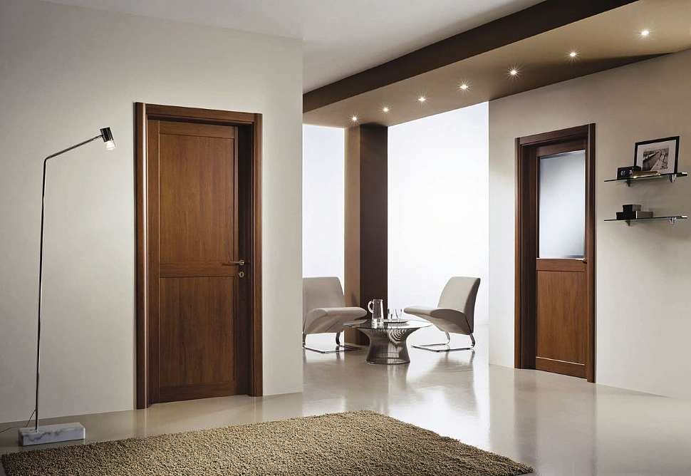 Какие межкомнатные двери лучше выбрать для квартиры – на что обращать внимание, разновидности конструкций и дизайнов