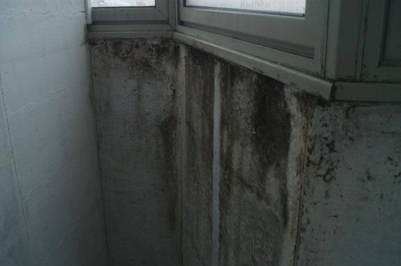 Как избавиться от плесени на балконе и лоджии, как убрать влажность, сырость и конденсат со стен и потолка балкона, вентиляция от грибка и запотевания зимой