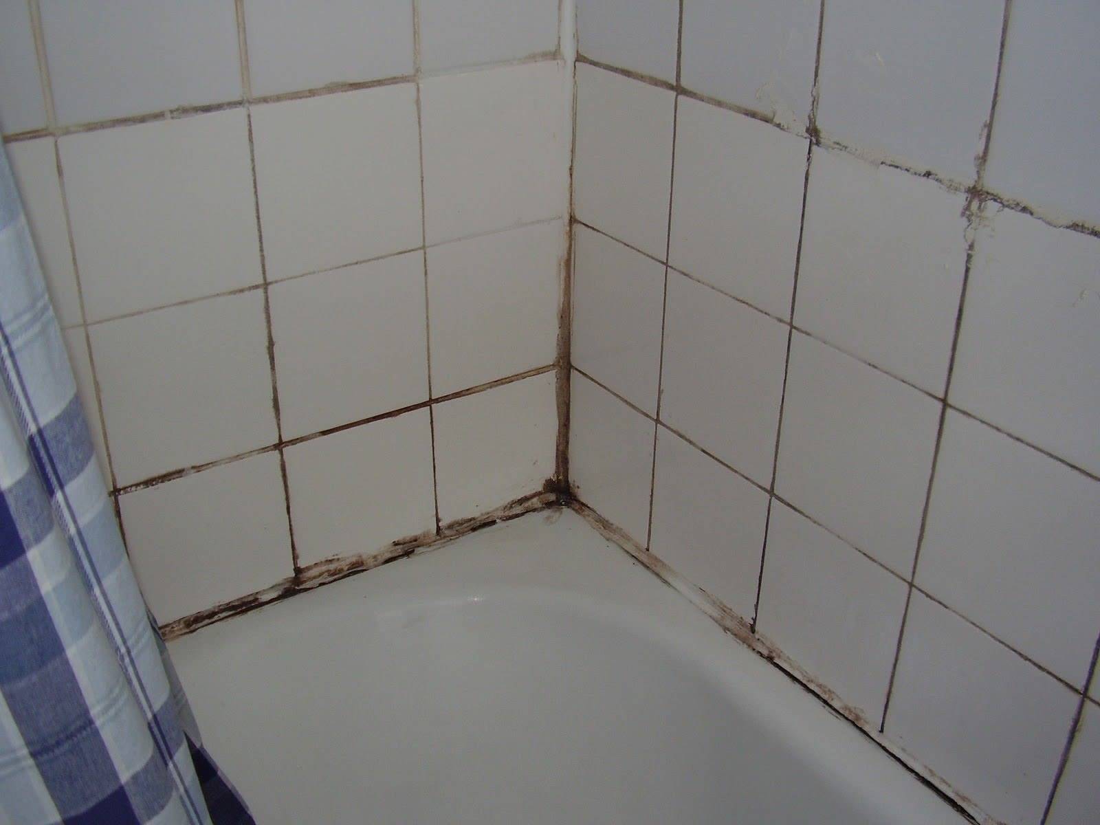 Общие рекомендации по уходу за кафелем в ванной