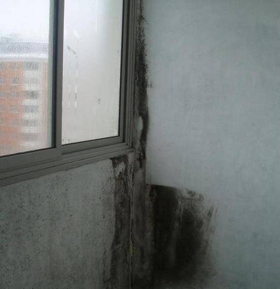 Конденсат на балконе после утепления: как избавиться от плесени, что делать и как бороться, застеклили потолок