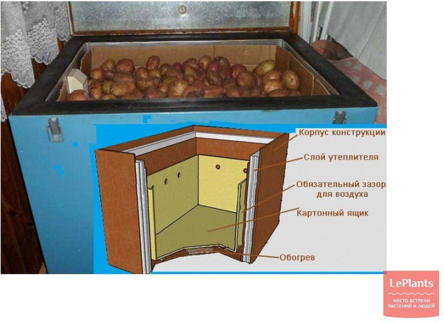Как хранить картошку зимой на балконе и лоджии