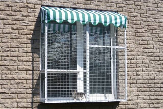 Защита пластиковых окон от вскрытия, как защитить окна пвх, пластиковые окна с защитой от проникновения