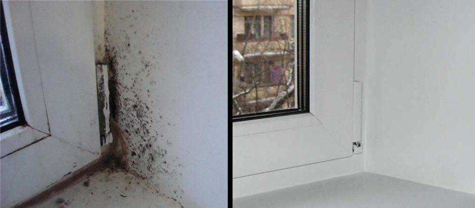 Плесень на окнах (пластиковых): грибок на откосах, подоконнике