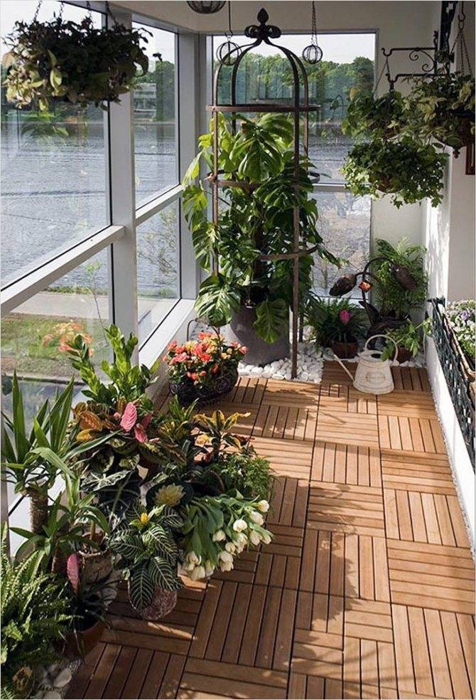 Зимний сад на балконе и лоджии своими руками: фото и видео