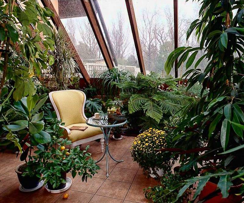 Огород на балконе зимой: возможно ли?