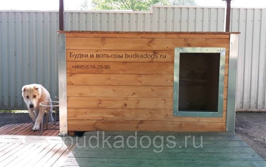 Вольер для собаки алабая на даче из сетки рабицы, зимний: размеры
