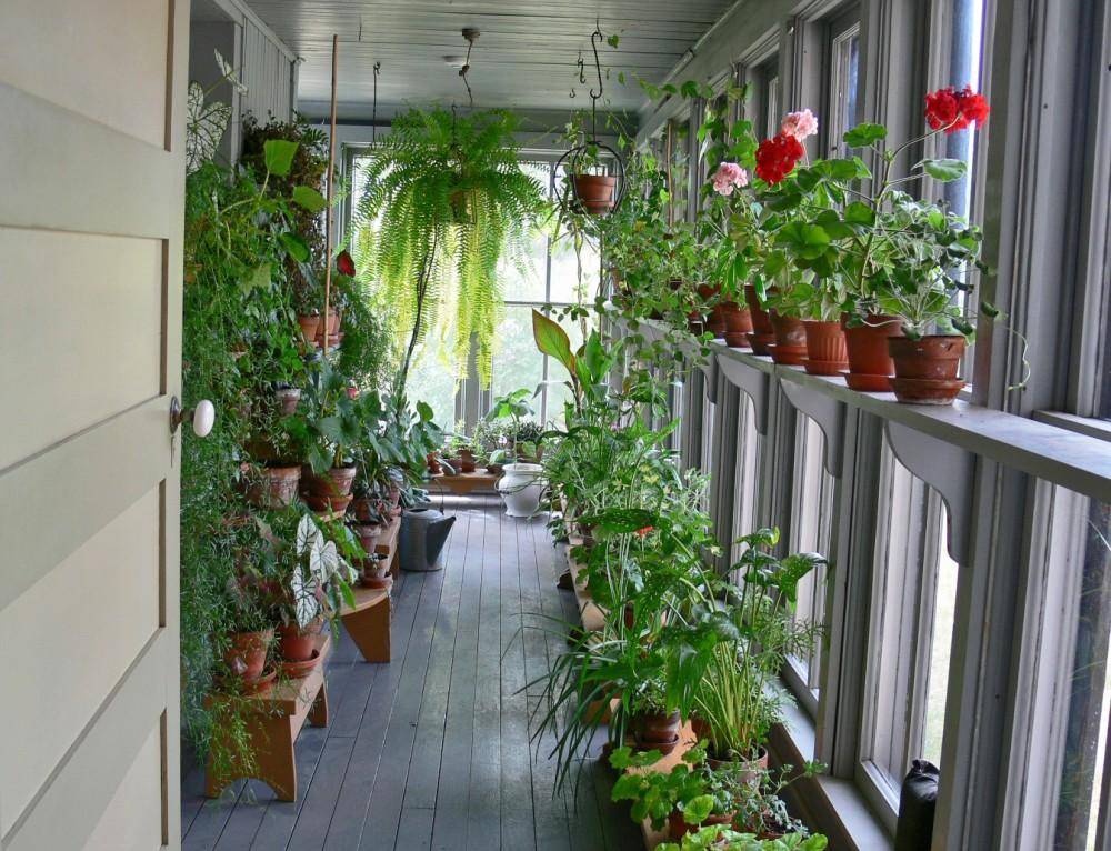 Сад на балконе своими руками: идеи + фото и видео примеры