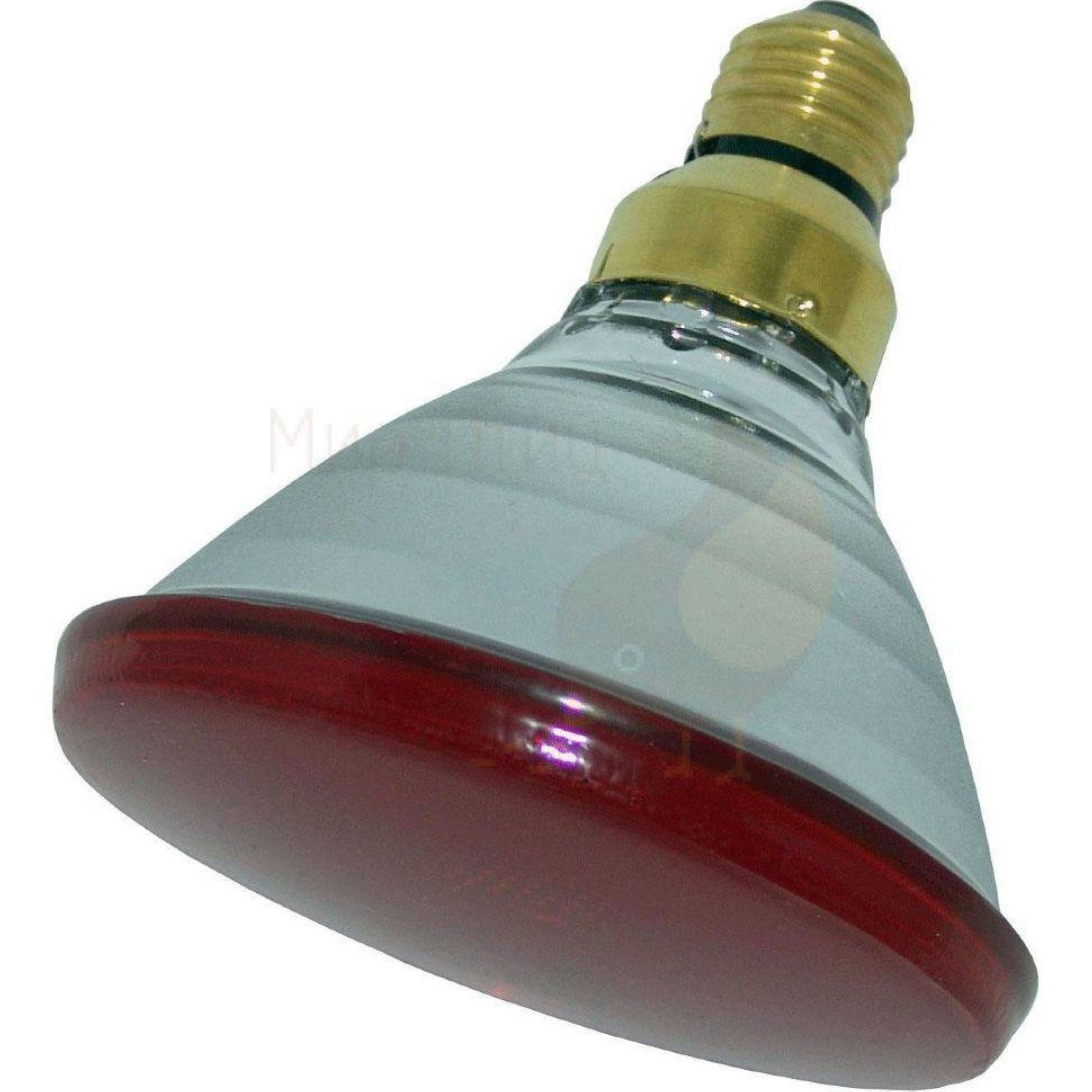 Инфракрасная лампа для обогрева курятника: инструкция по использованию, виды