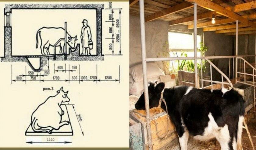 Проекты сараев хозяйственных построек для животных