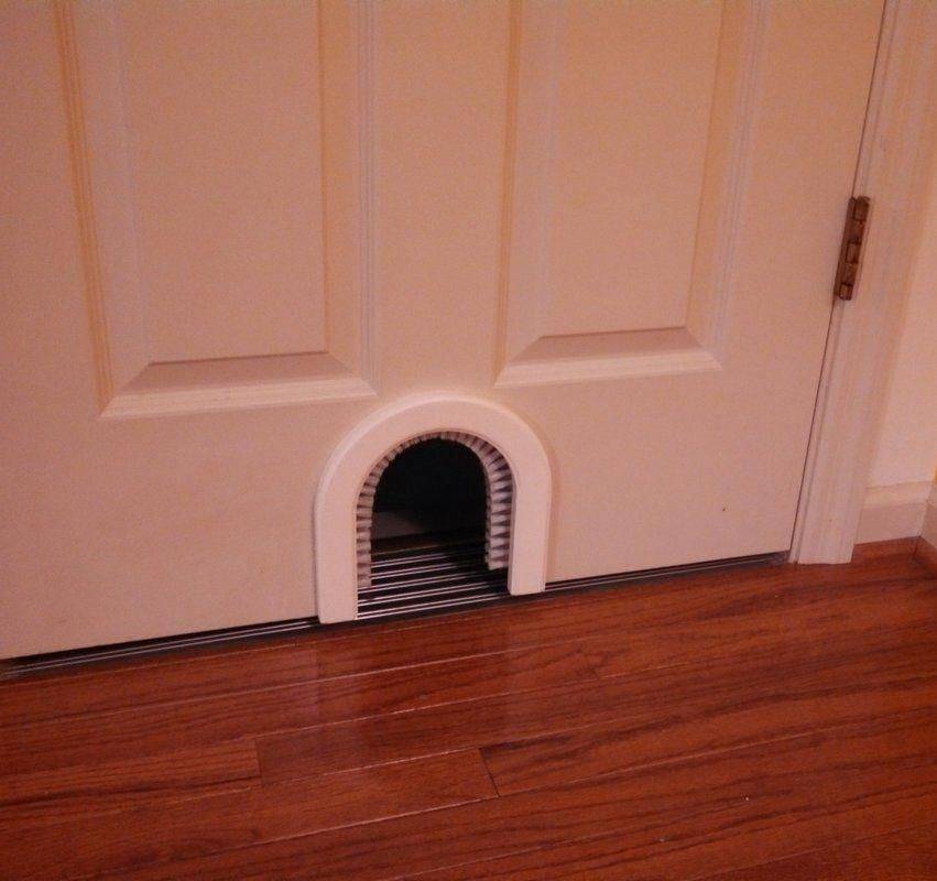 Дверь для кошки: обзор лучших моделей с советами, как выбрать и сделать дверь своими руками