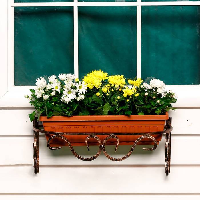 Как выбрать цветочные ящики за окном из 5 видов