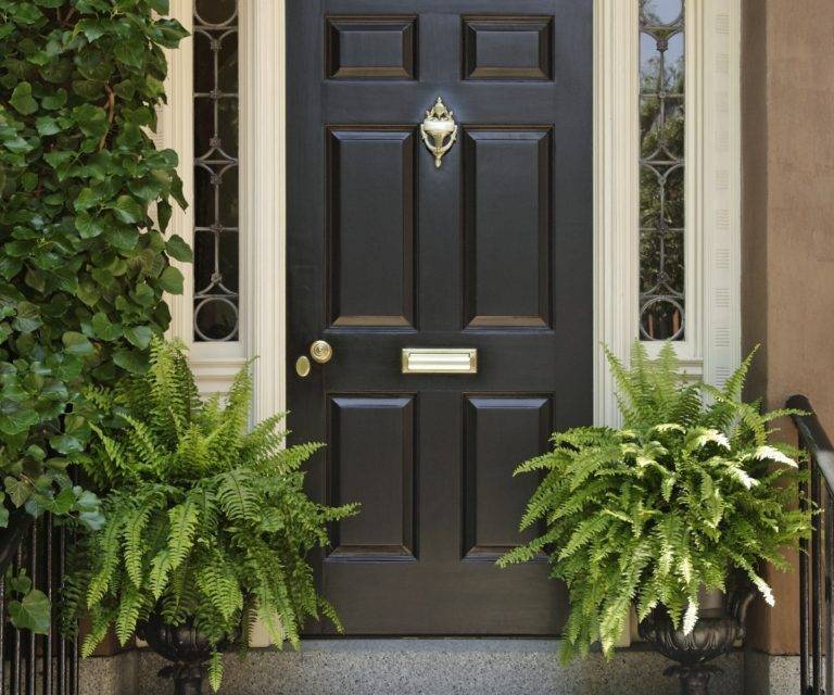 Как выбрать входную дверь в частный дом, металлические или деревянные конструкции