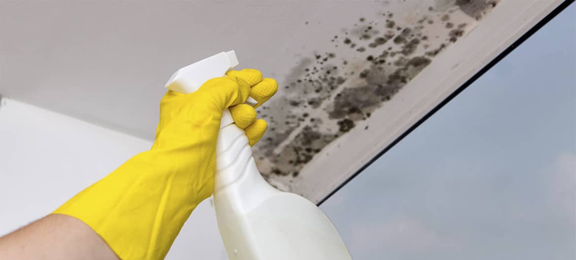 5 средств, которые помогут отмыть окна от цемента
