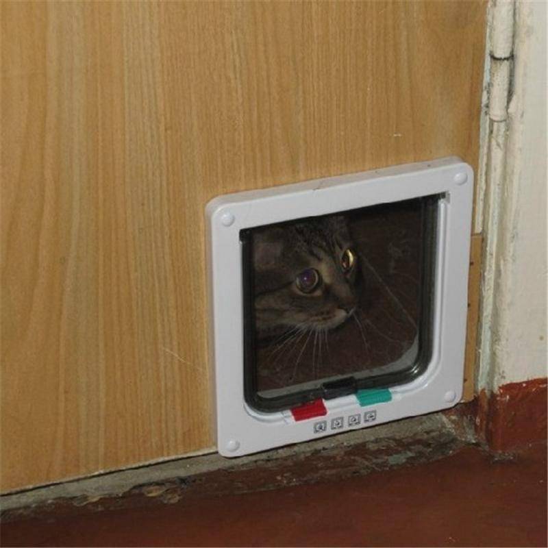 Дверца для кошек в дверь своими руками — пошаговая инструкция