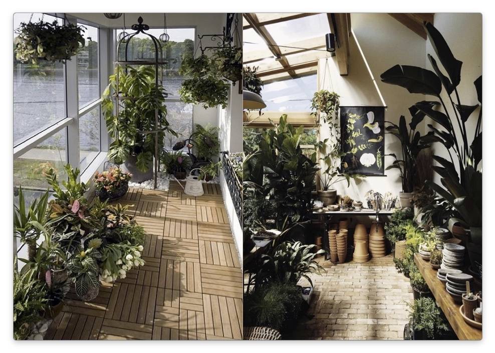 Морозоустойчивые растения для декора балкона