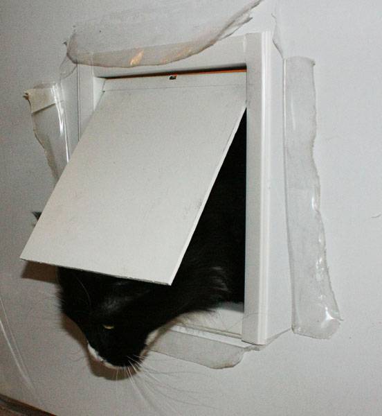 Дверка для кошек в дверь своими руками: автоматическая, межкомнатная