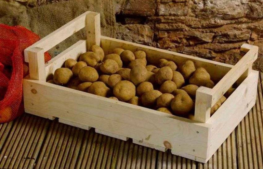 Хранение картофеля на балконе зимой: как хранить картошку правильно