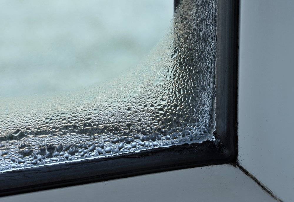 Конденсат на окнах внутри квартиры: почему образуется и как от него избавиться - строительство и ремонт
