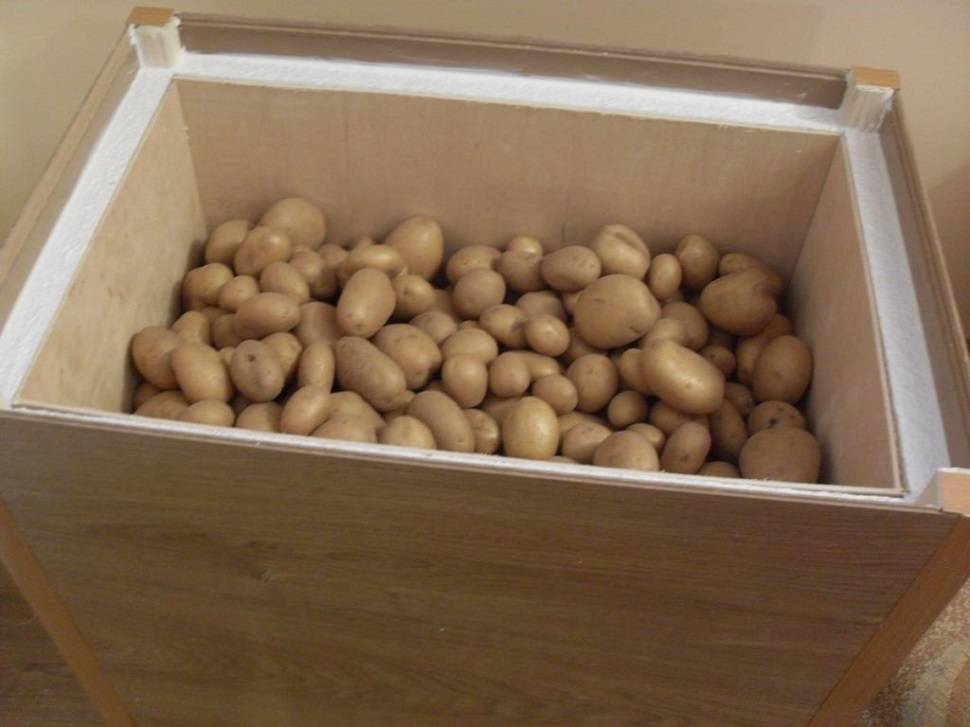 Ящик для хранения картофеля и других овощей на балконе зимой своими руками