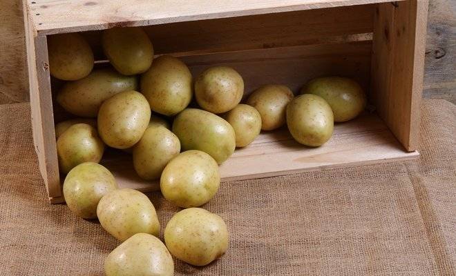 Как хранить картошку на балконе летом