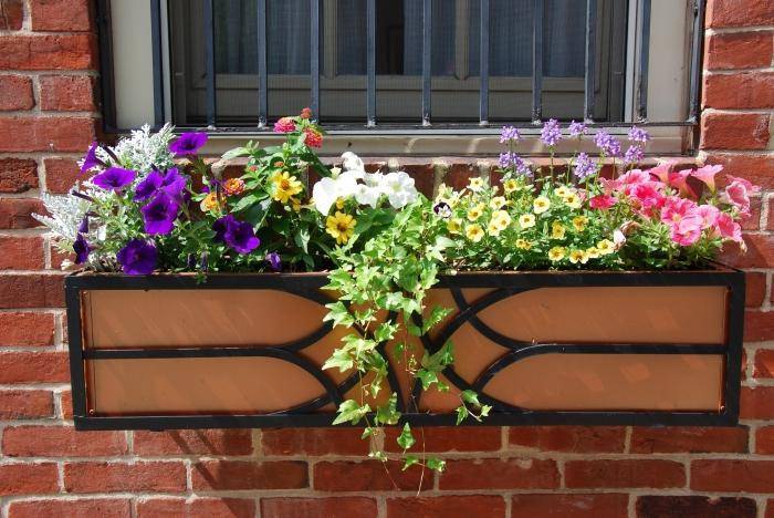 Как выбрать ящики для цветов на балконе