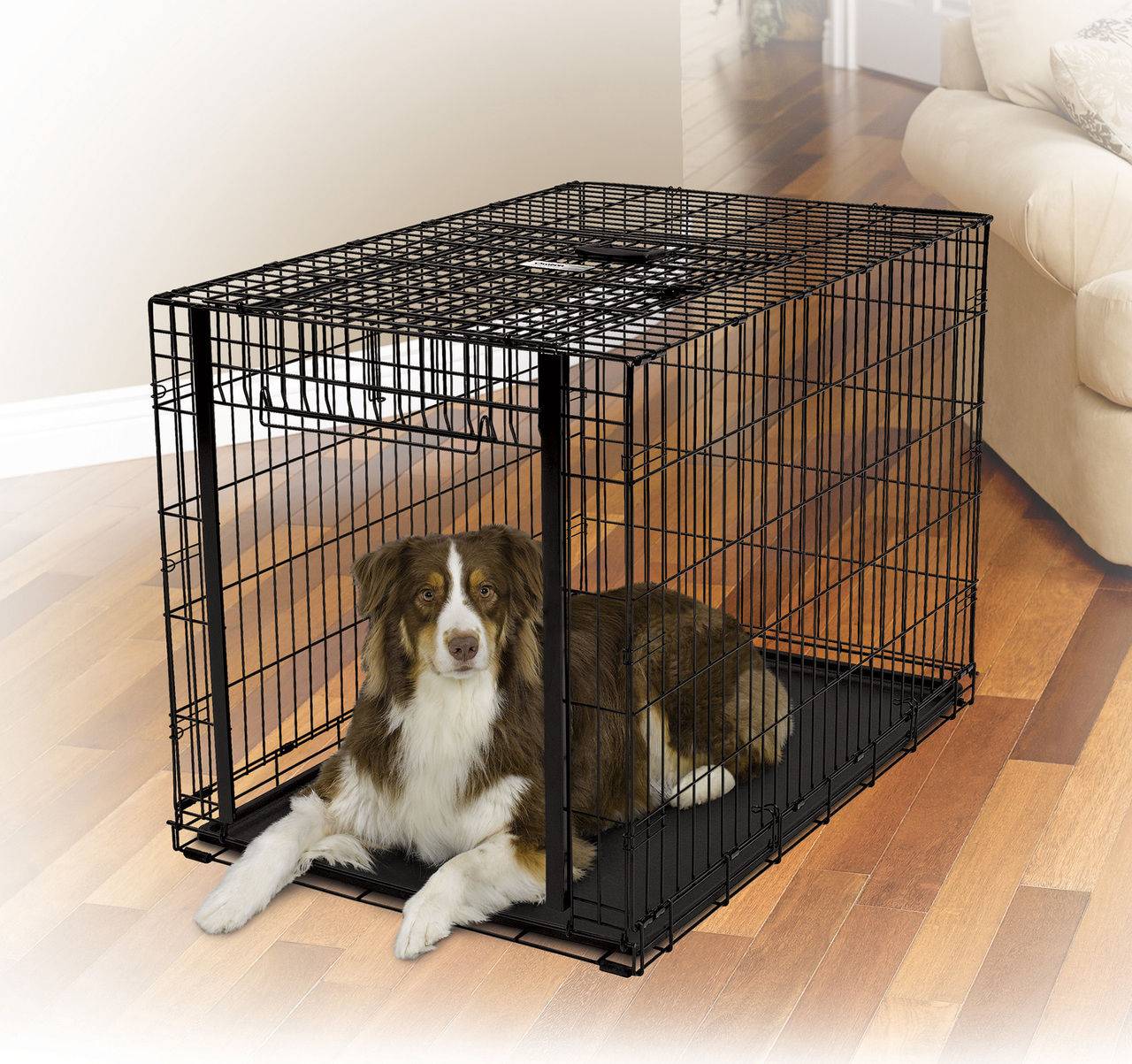 Вольер для собаки в квартире: как создать безопасный комфорт для домашнего питомца
