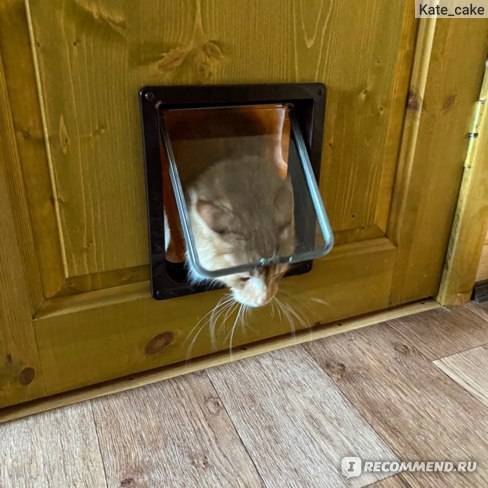 Дверь для кошки: своими руками или готовый вариант?