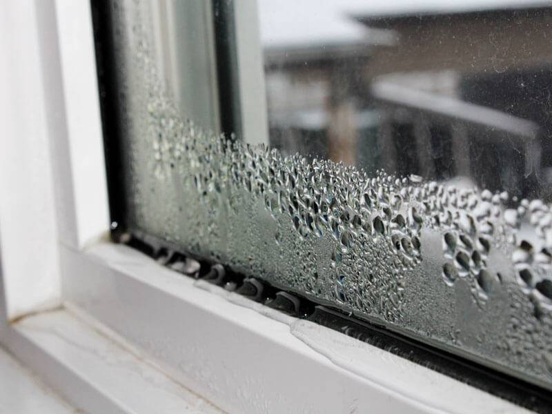 Чем протереть окна чтобы не потели внутри зимой в доме: что делать, народное средство