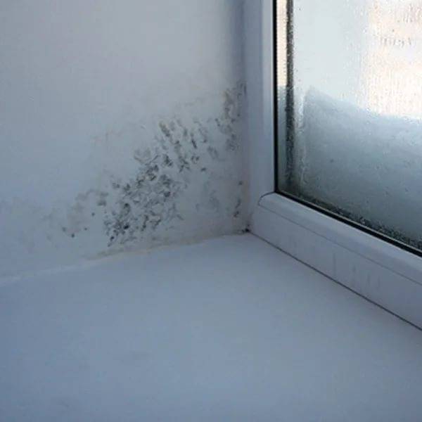 Плесень в ванной на потолке: как избавиться и убрать грибок, чем обработать и отмыть