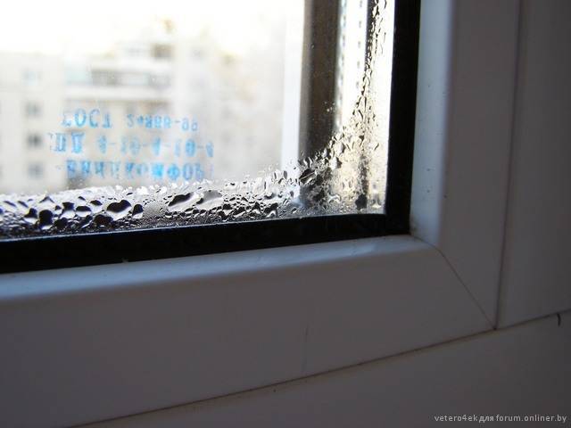 Конденсат на пластиковых окнах пвх: причины и способы борьбы с ним