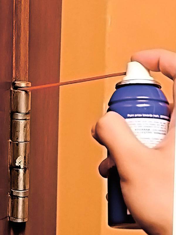 Как смазать петли на двери, не снимая дверь: причины скрипа, что делать в домашних условиях