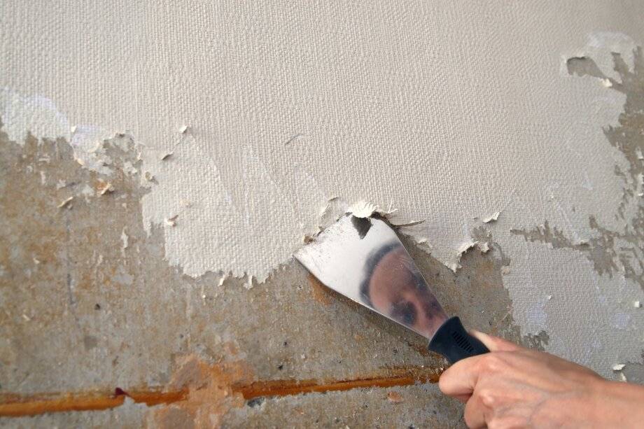 Чем лучше грунтовать стены перед поклейкой обоев: грунт под покраску