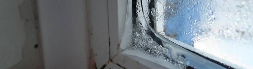 Чем помыть окна, чтобы они не запотевали и не замёрзали