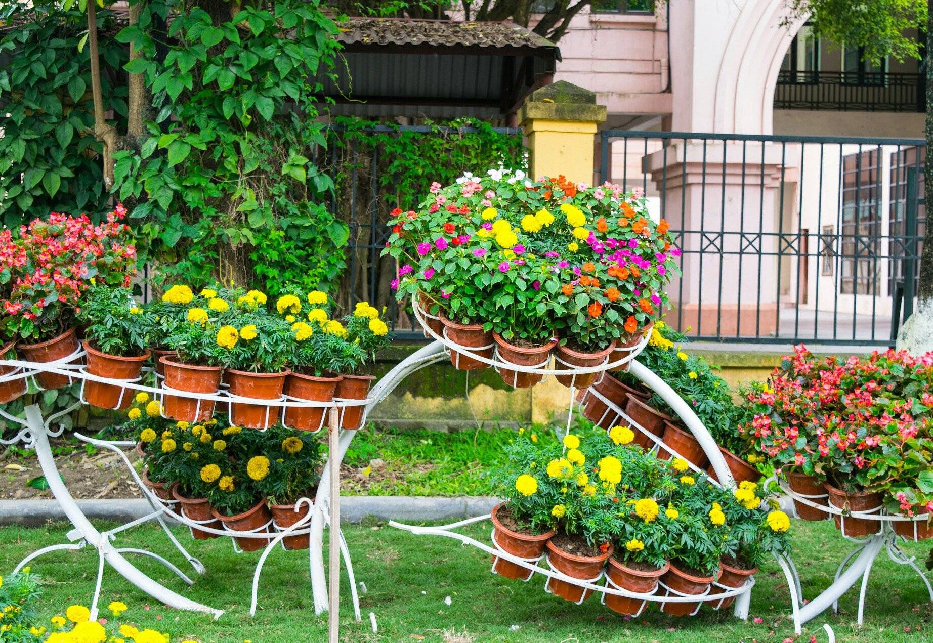 Клумбы во дворе частного дома: фото идеи красивого дизайна цветников