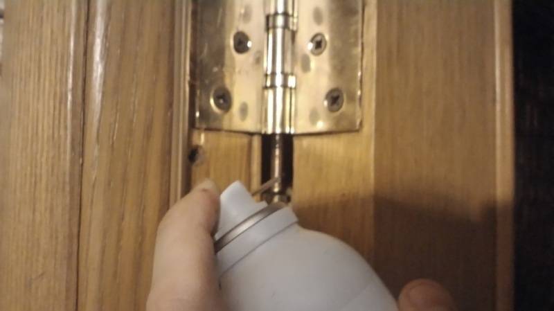 Почему скрипят металлические двери