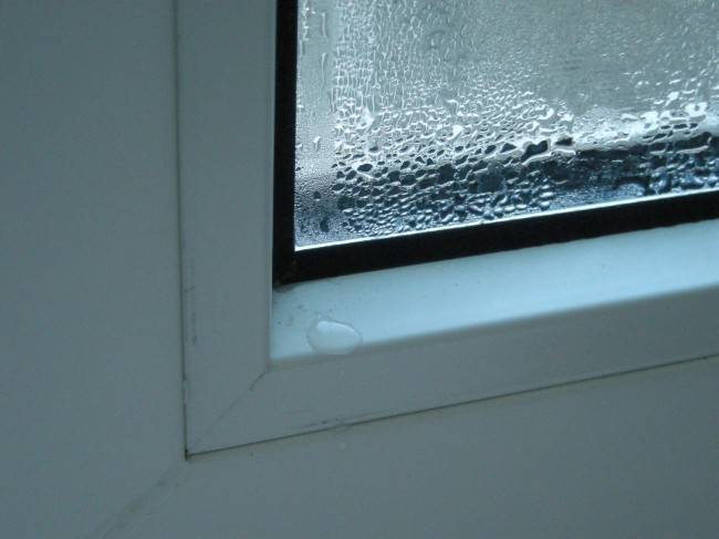 Как избавиться от плесени и конденсата на пластиковых окнах?