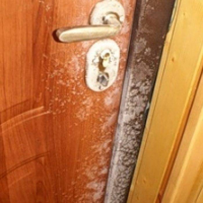 Утепляем дверь в частном доме. эффективные способы самостоятельно утеплить дверь
