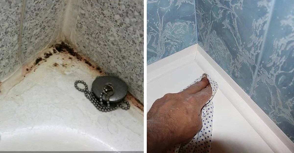 Как быстро и эффективно убрать плесень в ванной?