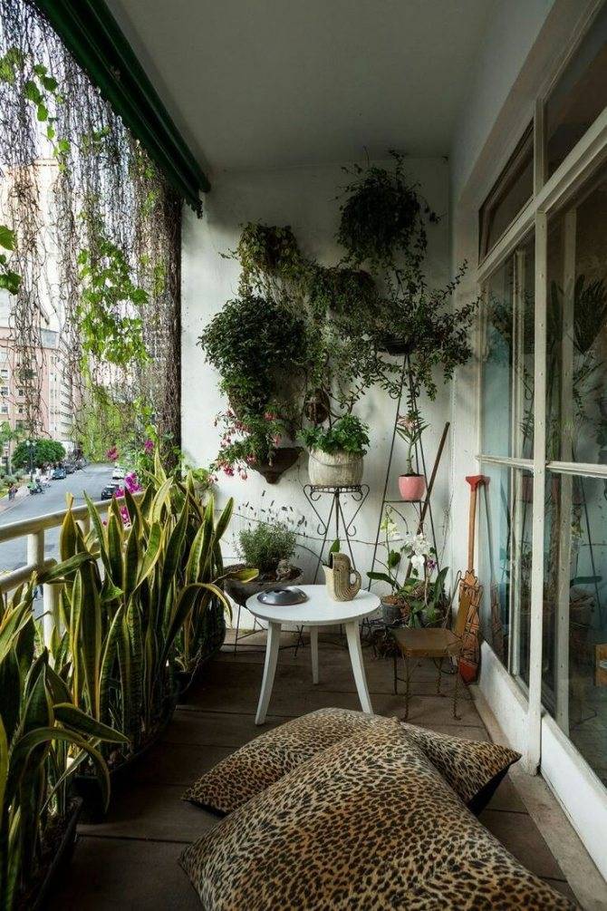 Зимний сад на балконе: фото, видео
зимний сад на балконе: фото, видео