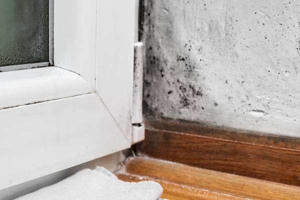 Как избавиться от плесени на окнах, подоконниках и откосах в домашних условиях