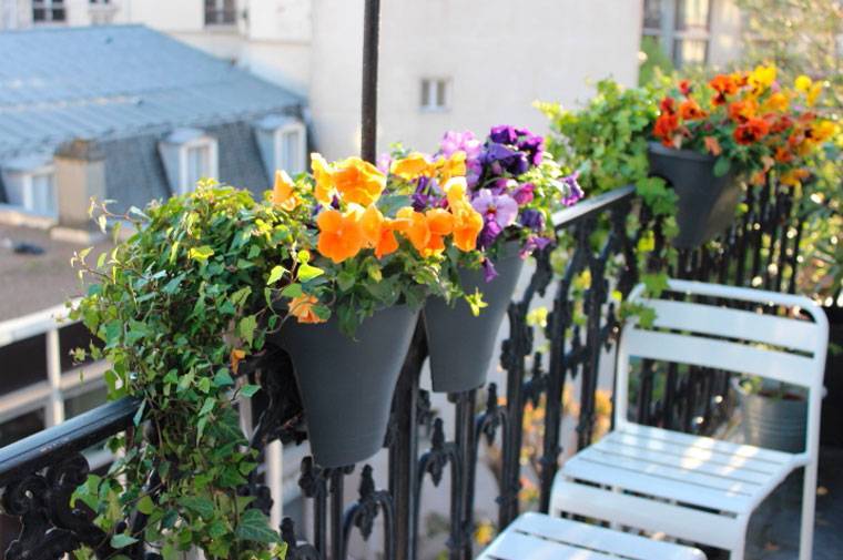 Цветы для балкона на солнечной стороне | рукодельный дом