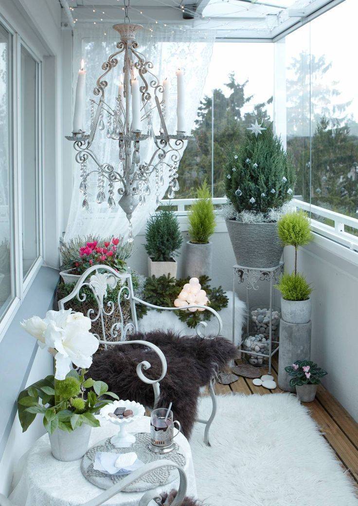 Как сделать зимний сад на балконе или террасе