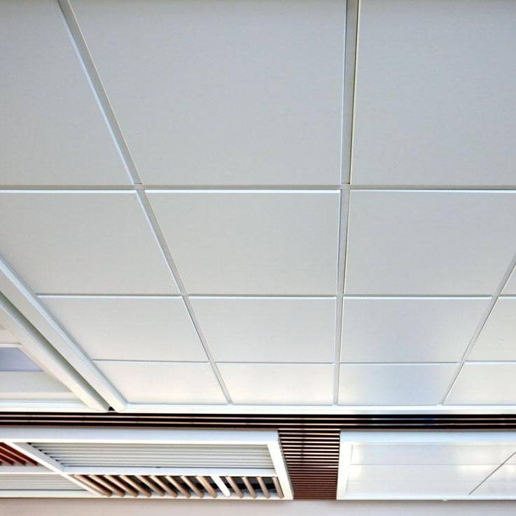 Пластиковые панели для потолка: преимущества и особенности использования, как правильно выбрать и установить